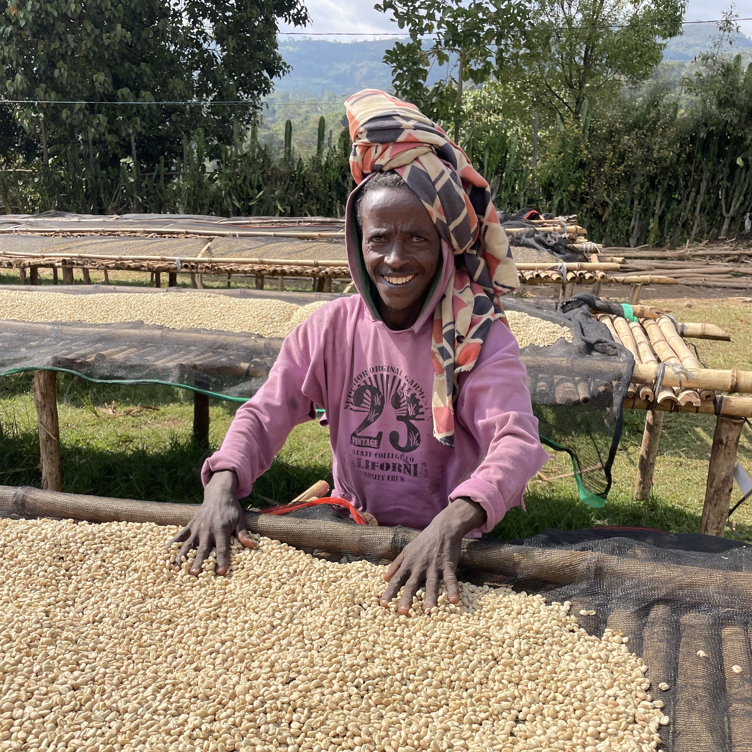 Ethiopia Karamo Washed(24/25年クロップ) | ORIGIN COUNTRIES for